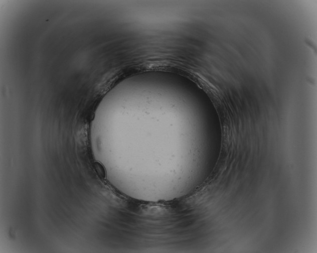 X0000091660475200709131513