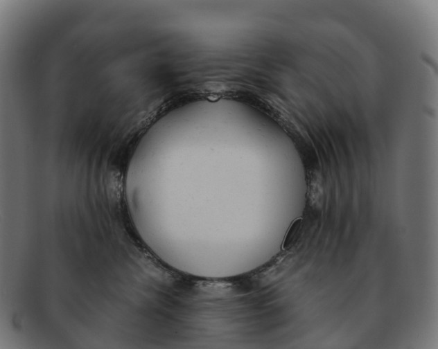 X0000091660476200709131513