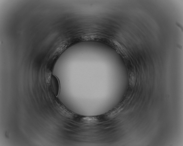 X0000091660477200709131513