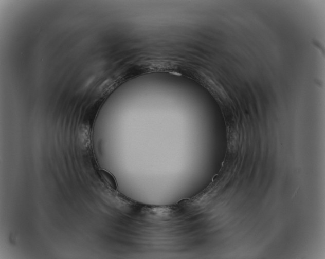 X0000091660478200709131513