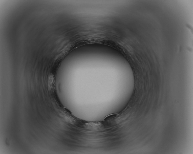 X0000091660480200709131513