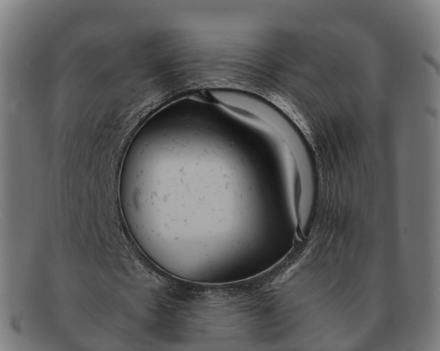 X0000091660481200709131513