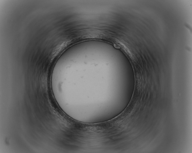 X0000091660482200709131513