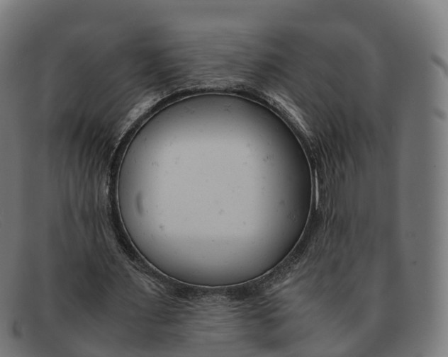 X0000091660483200709131513