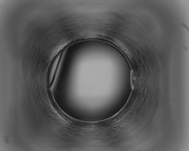 X0000091660485200709131513