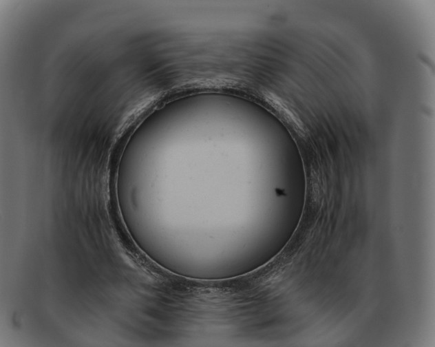 X0000091660486200709131513