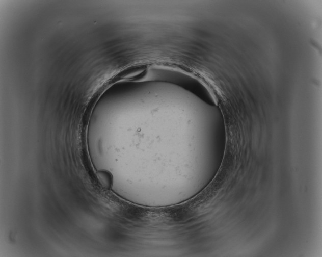 X0000091660487200709131513