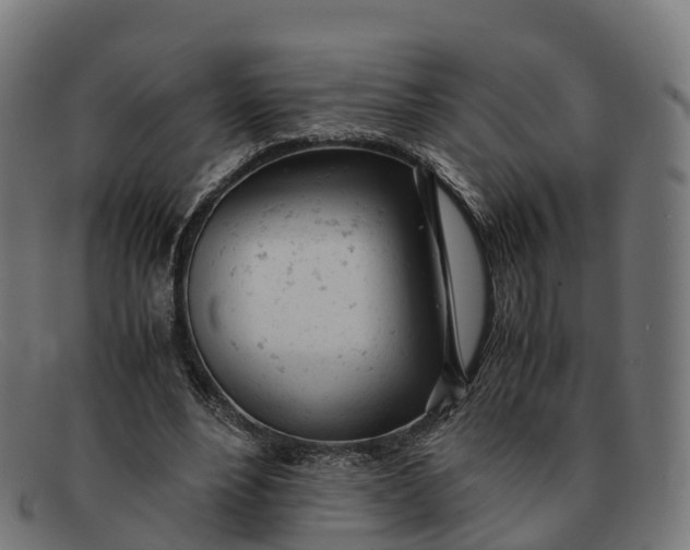 X0000091660488200709131513