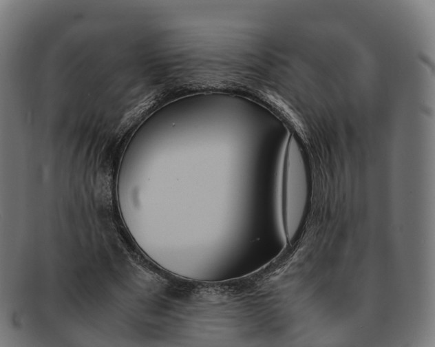 X0000091660489200709131513