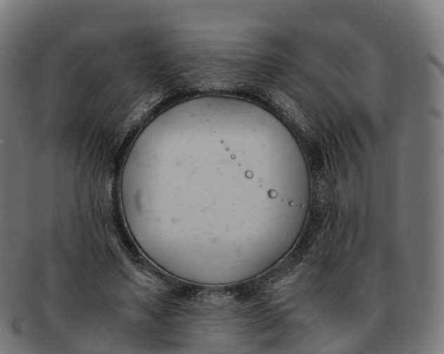 X0000091660491200709131512