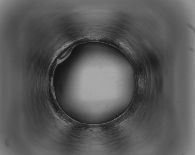 X0000091660492200709131512