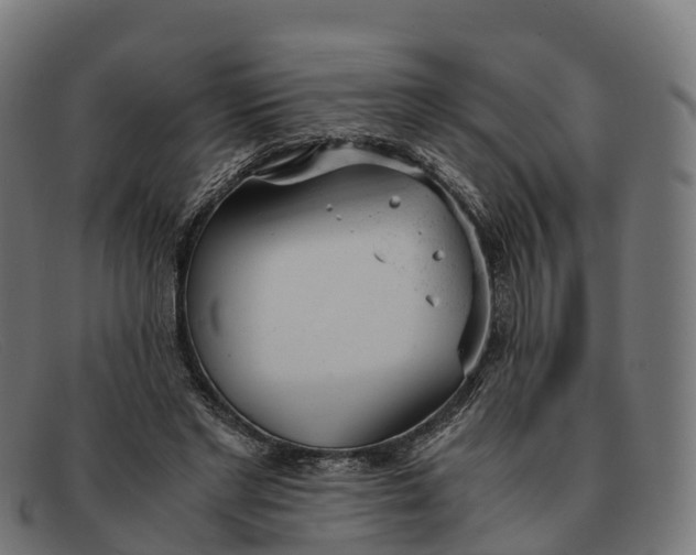 X0000091660493200709131512