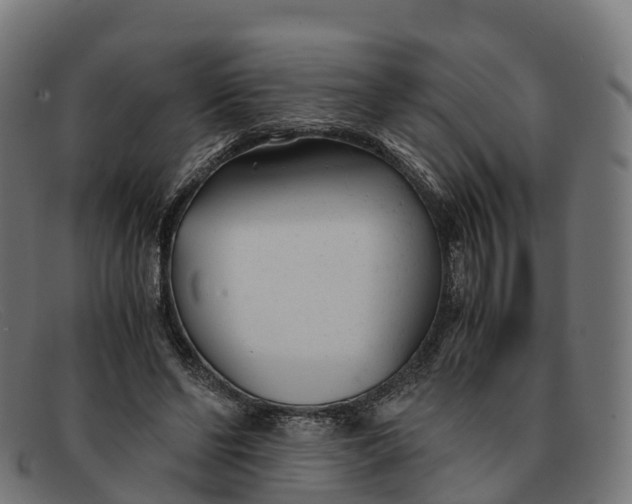 X0000091660494200709131512