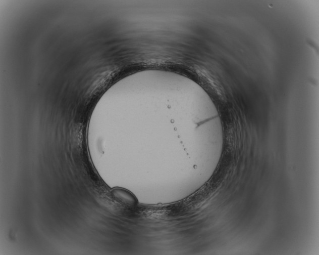 X0000091660495200709131512