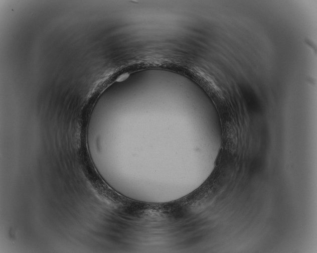 X0000091660496200709131512