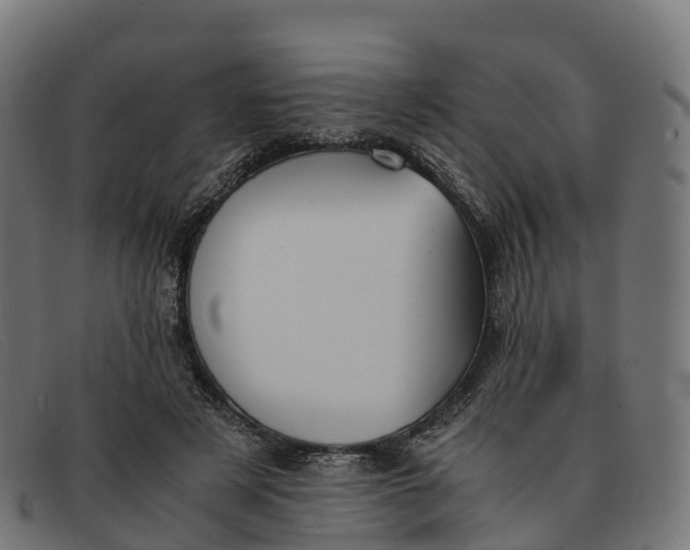 X0000091660497200709131512