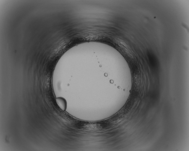 X0000091660499200709131512