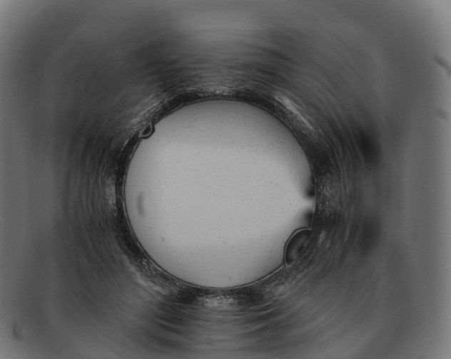 X0000091660500200709131512