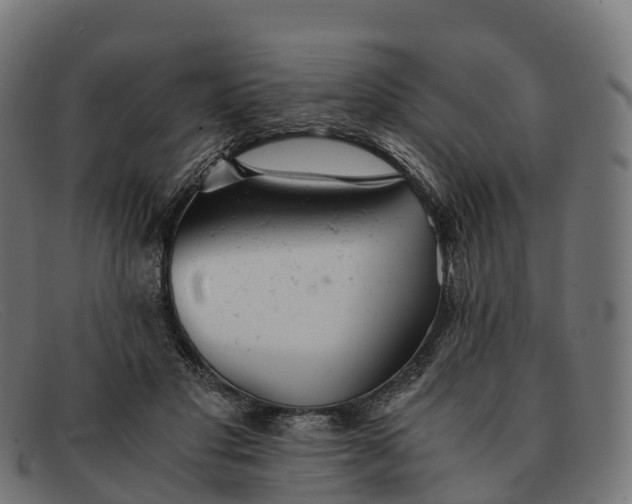 X0000091660501200709131512