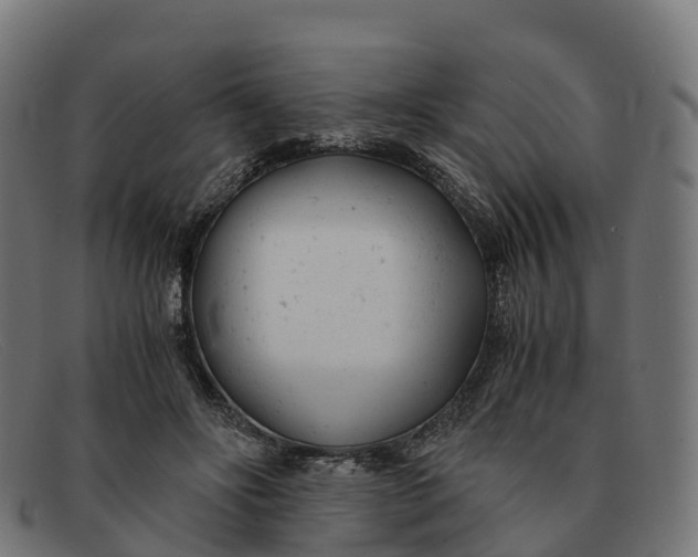 X0000091660502200709131512