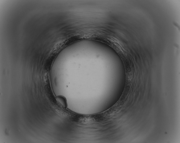 X0000091660503200709131512