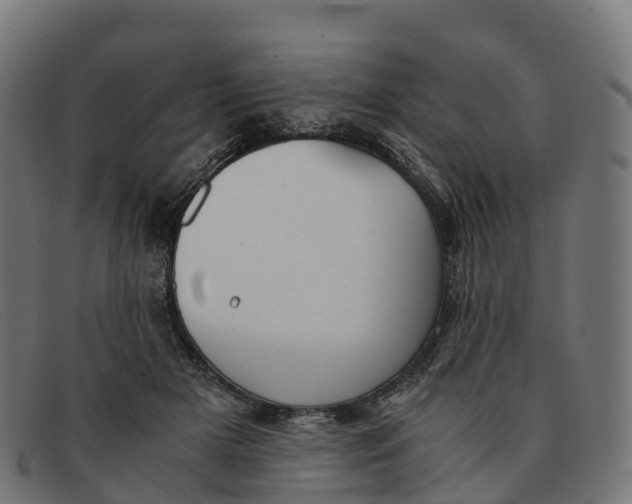 X0000091660505200709131512