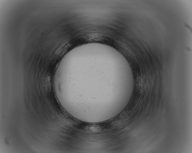 X0000091660506200709131512