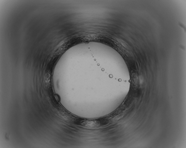 X0000091660507200709131512