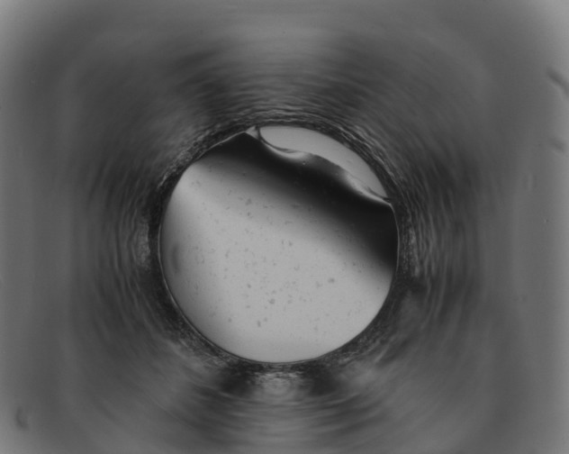 X0000091660508200709131512