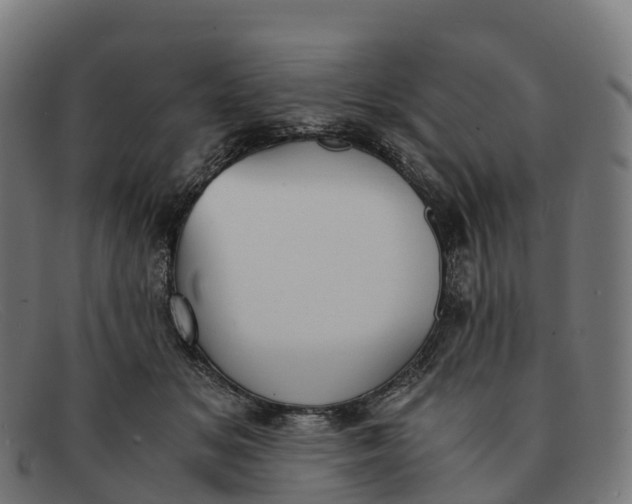 X0000091660509200709131512