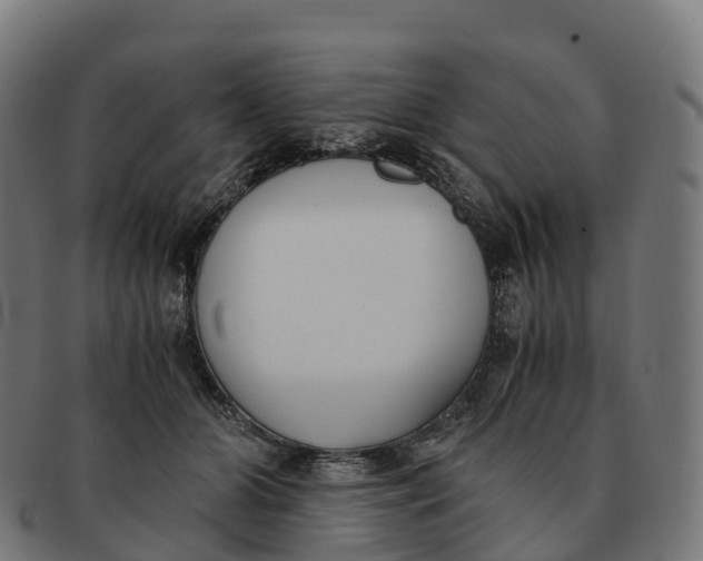 X0000091660510200709131512