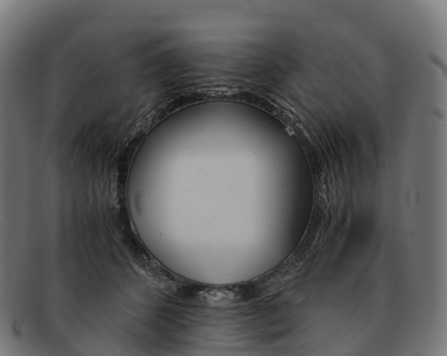 X0000091660512200709131512