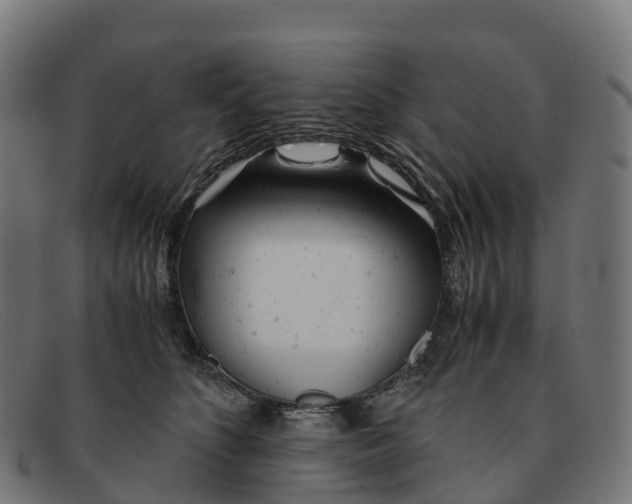 X0000091660516200709131512