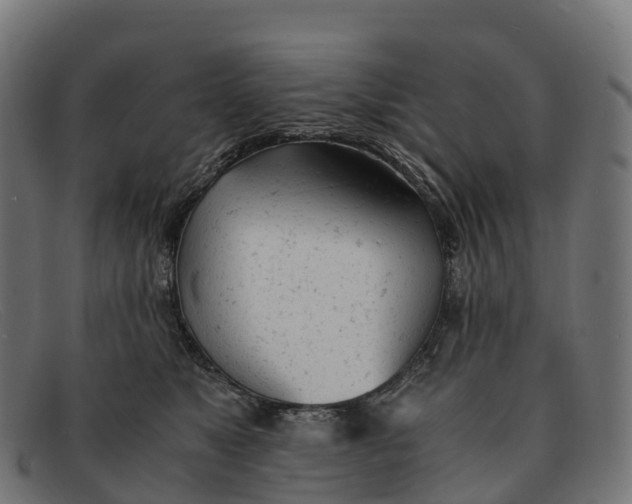 X0000091660517200709131512