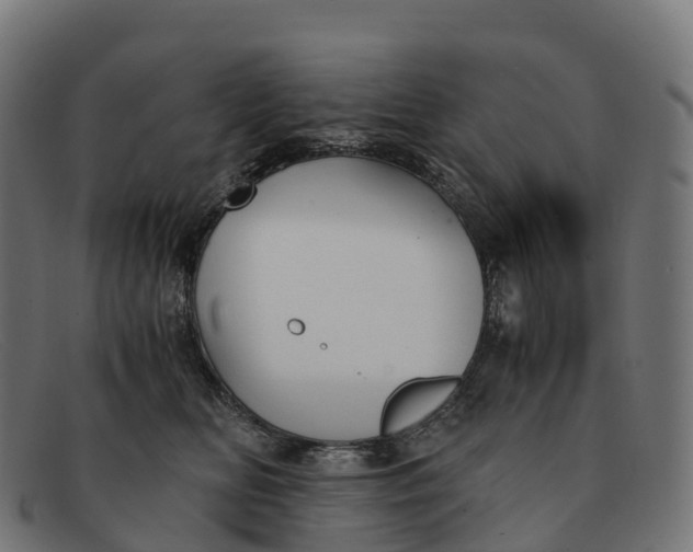 X0000091660518200709131512