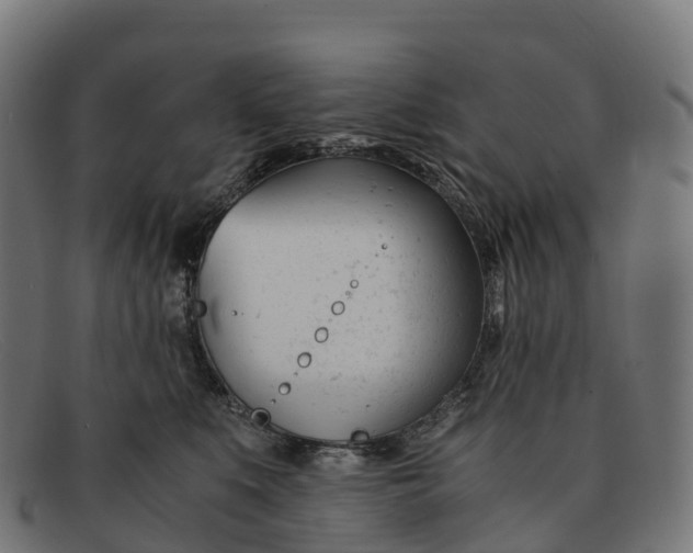 X0000091660519200709131512