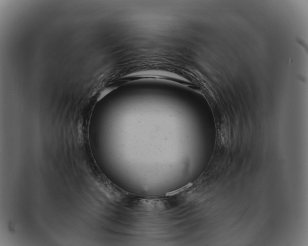 X0000091660520200709131512