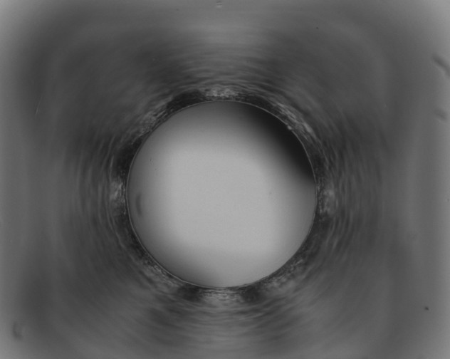 X0000091660521200709131512