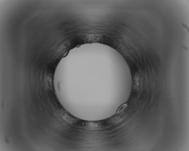 X0000091660522200709131512