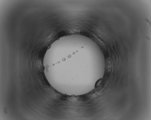 X0000091660523200709131512