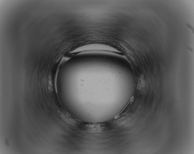 X0000091660524200709131512