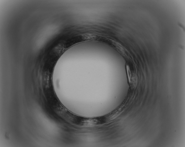 X0000091660525200709131512