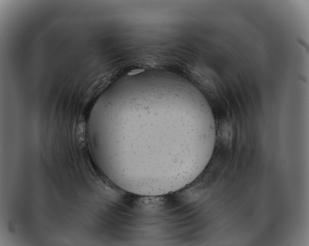 X0000091660526200709131512