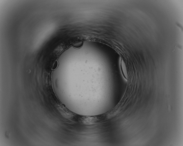 X0000091660527200709131512