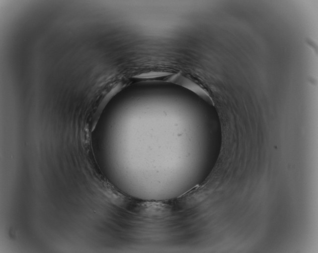 X0000091660528200709131512