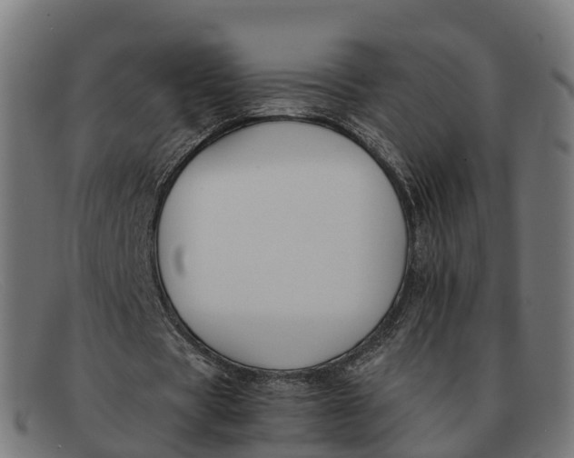 X0000091660529200709131511