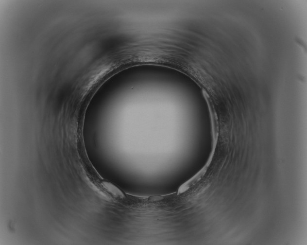 X0000091660530200709131511