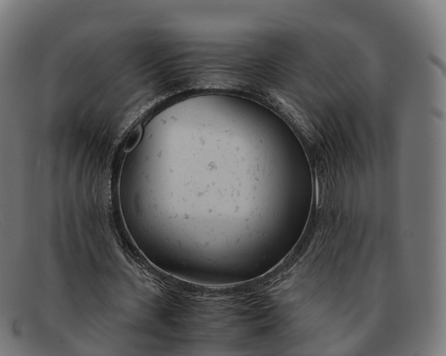 X0000091660531200709131511