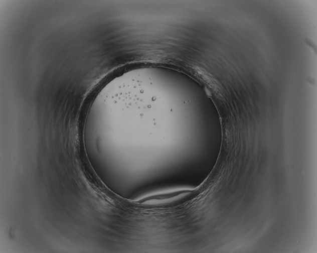 X0000091660532200709131512