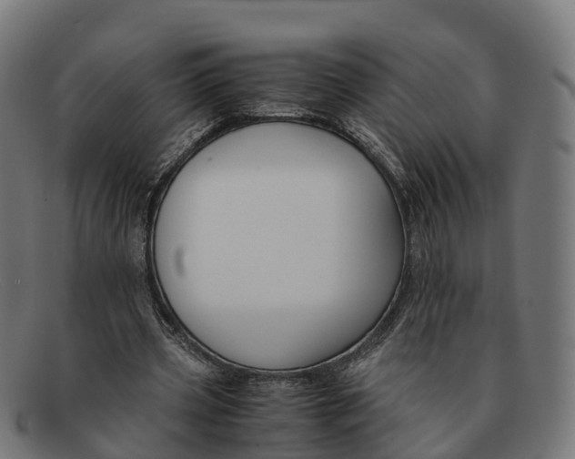 X0000091660533200709131512